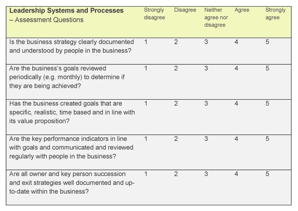 Business systems and processes checklist - leadership